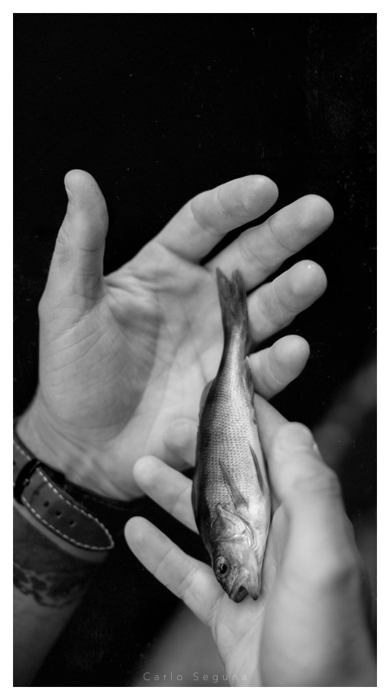 Urban Street Fishing London