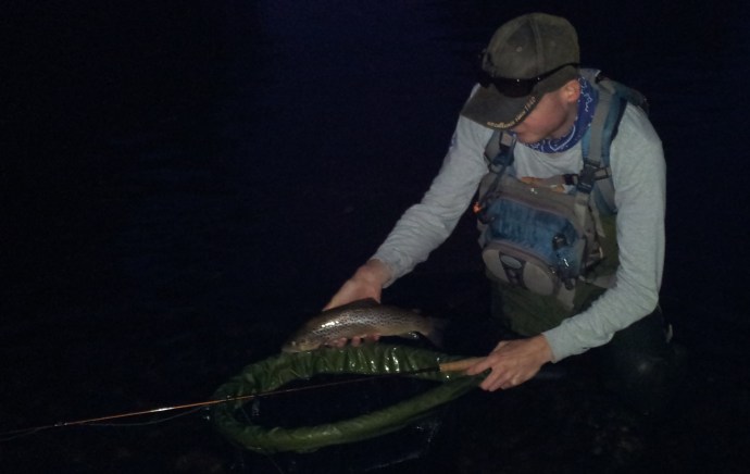 River Usk Trout Fishing
