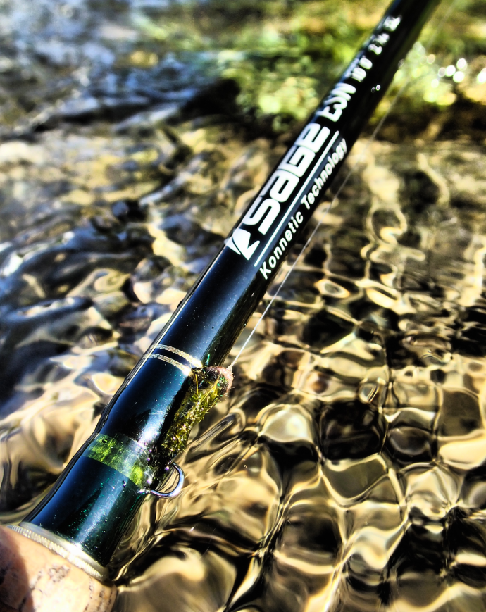 The classy Sage ESN is a thing of real beauty