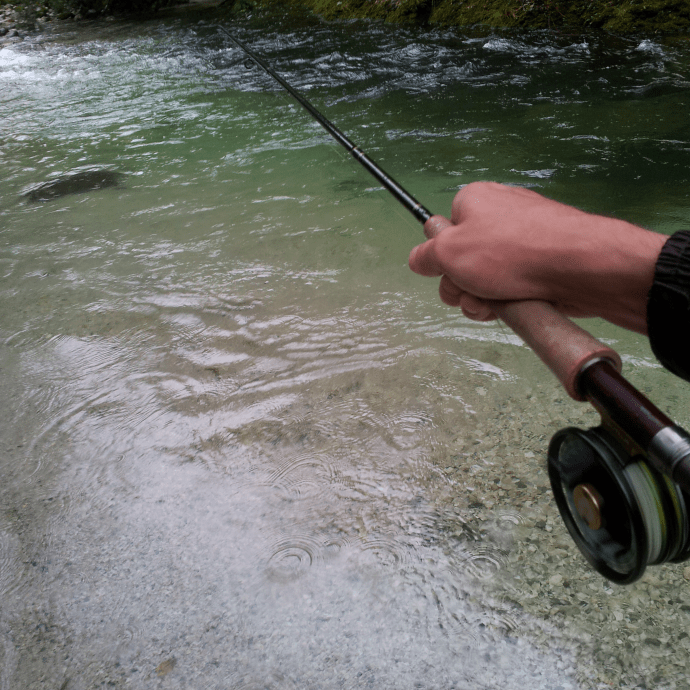 A big Slovenian rainbow tests out the drag on the FWX - we won this battle too!