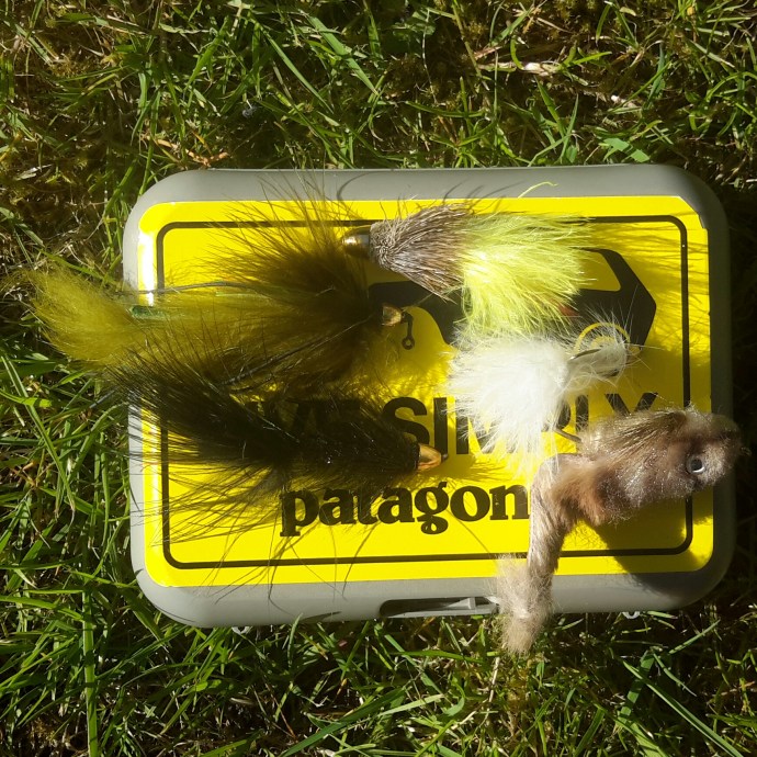 The gloves are off this time in Wales - it's horse hunting time.