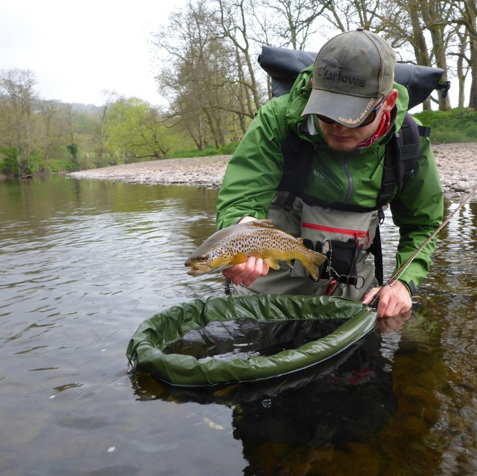 We took that pool apart!