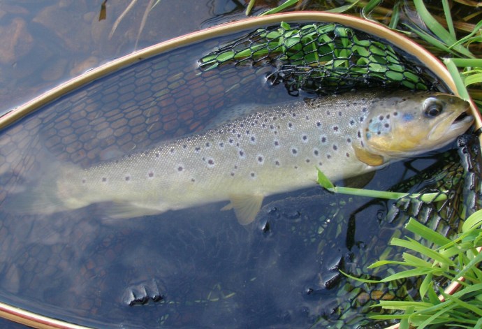 Another Manifold cracker on a dry