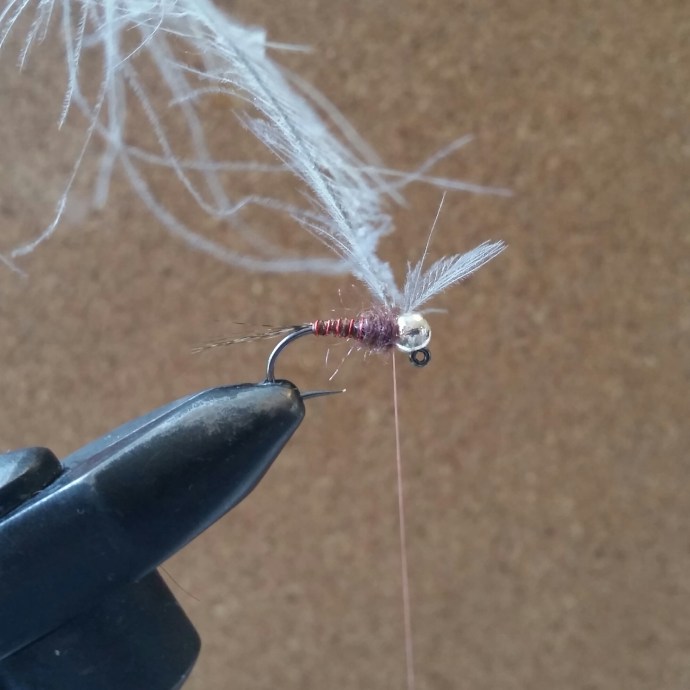 Catch in the very tip of a cdc feather. No need to use the top grade plumes, save those for little dries, something with a barb length reaching to the tip of the tail is perfect. Experiment with the colours, I'm finding more and more that a little contrast here seems to fire the grayling up.