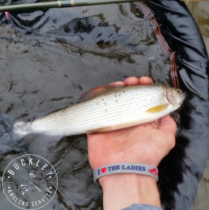 'Yes tackle cancer wristband grayling